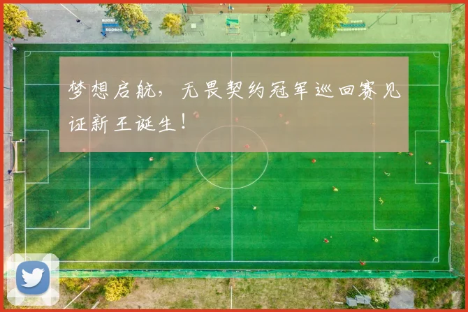 梦想启航，无畏契约冠军巡回赛见证新王诞生！